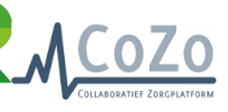 CoZo and Realdomen make it work together