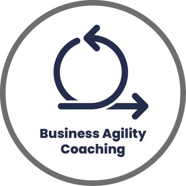 business agility coaching